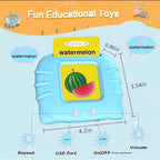 Early Educational Talking Flash Cards